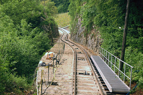 Ligerz11.jpg