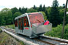 Ligerz13.jpg