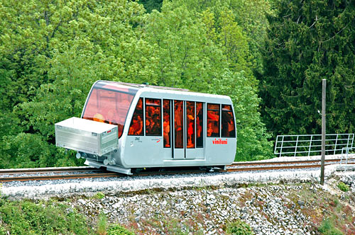 Ligerz25.jpg
