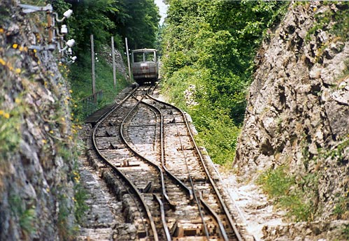 Ligerz41.jpg