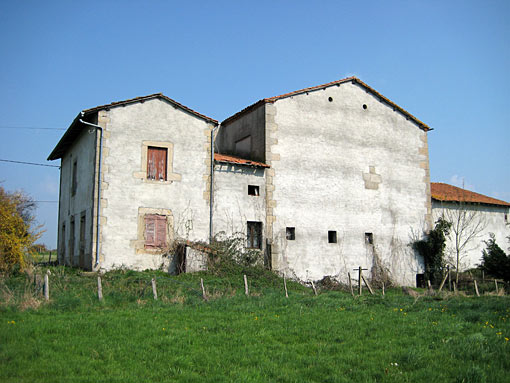 Roanne03.jpg