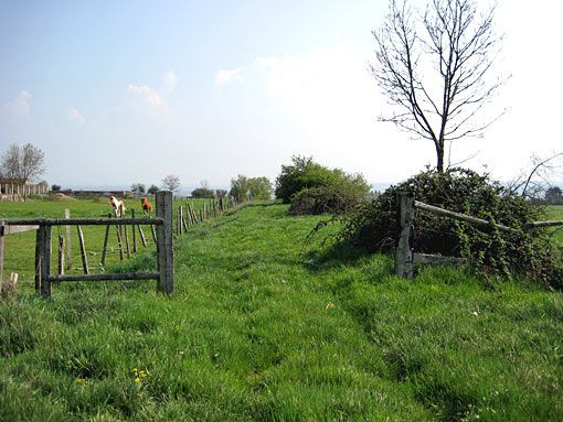 Roanne07.jpg