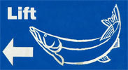 WildeggBrugg05.jpg