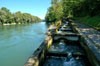 WildeggBrugg06x.jpg