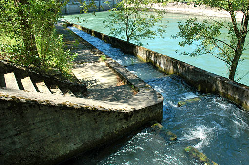 WildeggBrugg07.jpg